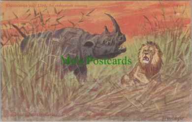 Animal Postcard - Rhinoceros and Lion, South Africa  SW14001