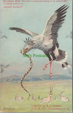 Animal Postcard - Secretary Bird, South Africa  SW14003