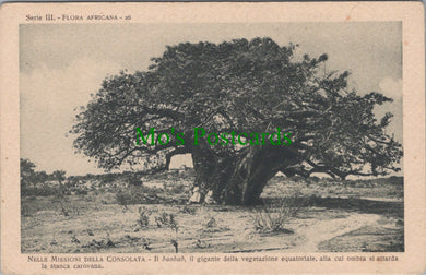 Africa Postcard - Nelle Missioni Della Consolata  SW14011