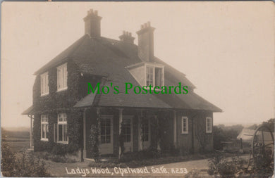Sussex Postcard - Ladys Wood, Chelwood Gate SW14027