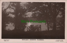 Load image into Gallery viewer, Shropshire Postcard - Moonlight, Cremorne, Ellesmere   SW14042
