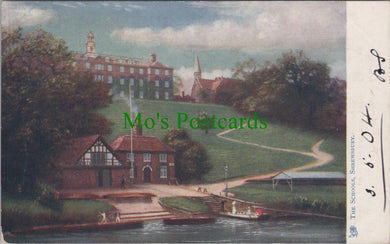 Shropshire Postcard - The Schools, Shrewsbury   SW14048