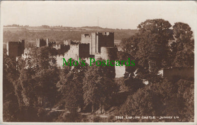 Shropshire Postcard - Ludlow Castle   SW14049