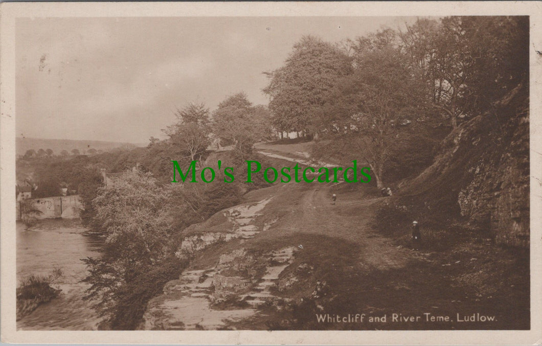 Shropshire Postcard - Whitcliff and River Teme, Ludlow   SW14051