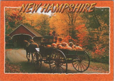 America Postcard - New Hampshire, A Fall Harvest  DC1773