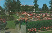 Load image into Gallery viewer, America Postcard - Sunken Gardens, State Capitol Grounds, Olympia SW16556
