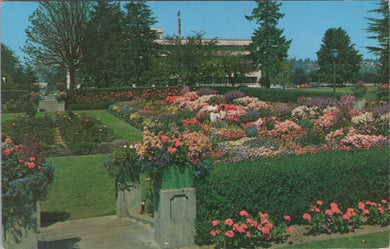 America Postcard - Sunken Gardens, State Capitol Grounds, Olympia SW16556