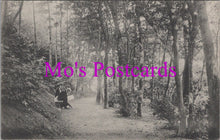 Load image into Gallery viewer, Kent Postcard - Pine Walk, Folkestone   SW14508
