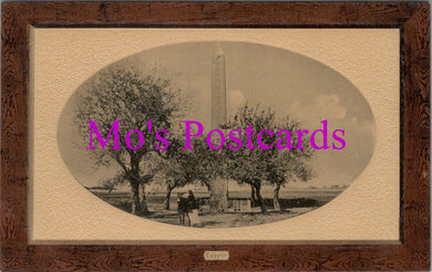 Egypt Postcard - Obelisk, Cairo   SW14523