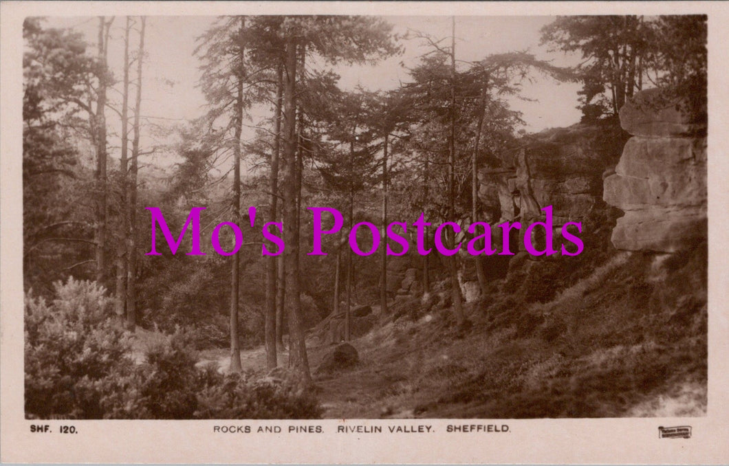 Yorkshire Postcard - Rocks and Pines, Rivelin Valley, Sheffield   SW14520