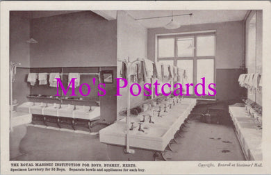 Hertfordshire Postcard - The Royal Masonic Institution For Boys, Bushey  HM706