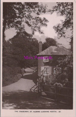 Hertfordshire Postcard - The Causeway, St Albans Looking South  DZ173