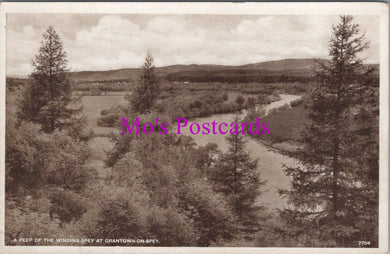 Scotland Postcard - A Peep of The Winding Spey at Grantown-On-Spey  SW15117