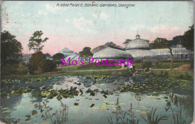 Scotland Postcard - Glasgow, Kibble Palace, Botanic Gardens SW16297