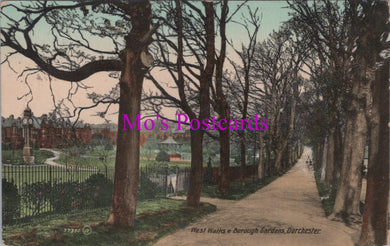 Dorset Postcard - Dorchester, West Walks and Borough Gardens  SW16702