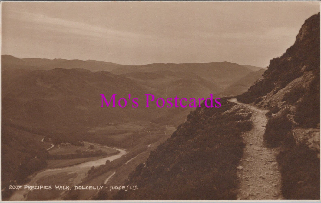 Wales Postcard - Precipice Walk, Dolgelly SW16230