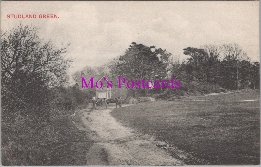 Dorset Postcard - Studland Green  SW15611