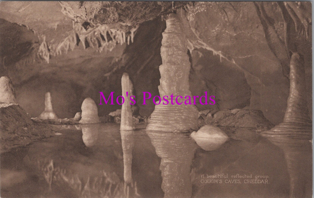 Somerset Postcard - Gough's Caves, Cheddar  SW14923