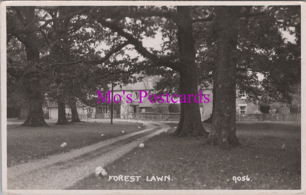 Hampshire Postcard - Forest Lawn    SW14930