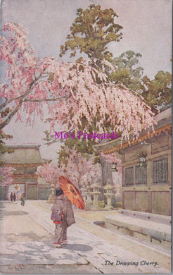 Japan Postcard - The Drooping Cherry Tree    SW14977