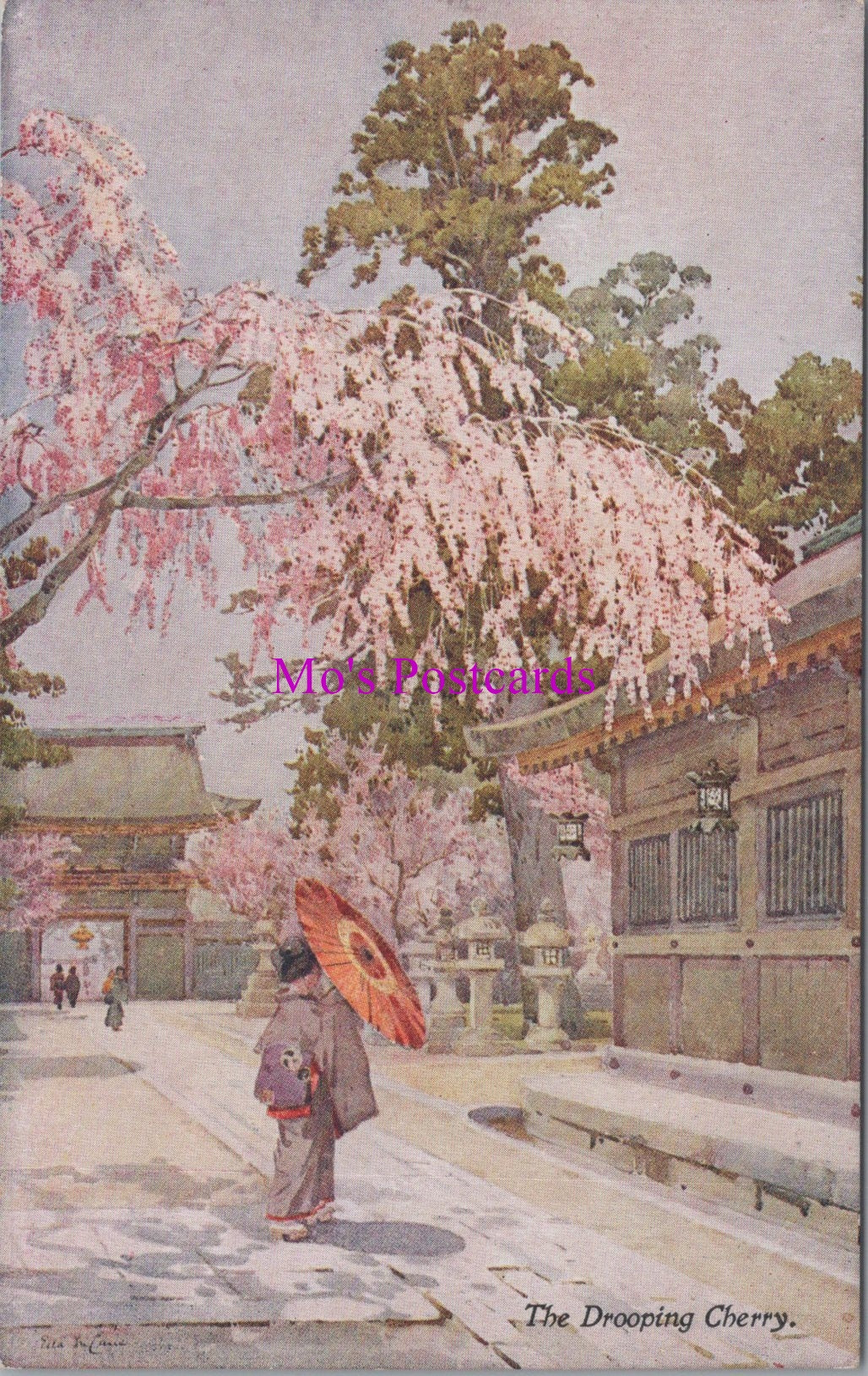 Japan Postcard - The Drooping Cherry Tree    SW14977