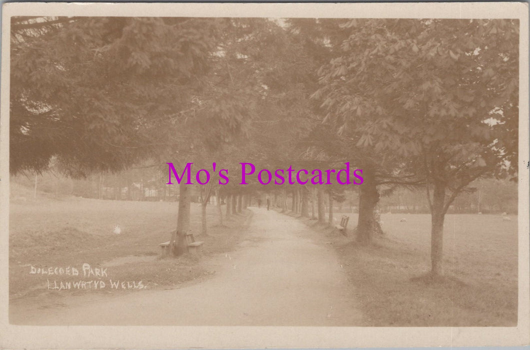 Wales Postcard - Dolecoed Park, Llanwrtyd Wells  SW14978