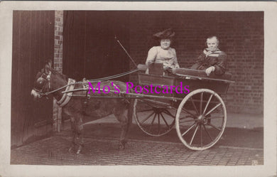 Ancestors Postcard - Two Ladies Riding in a Donkey Cart  SW14988