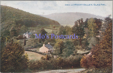 Wales Postcard - Llyfnant Valley, Glas Pwl, Powys   DZ67