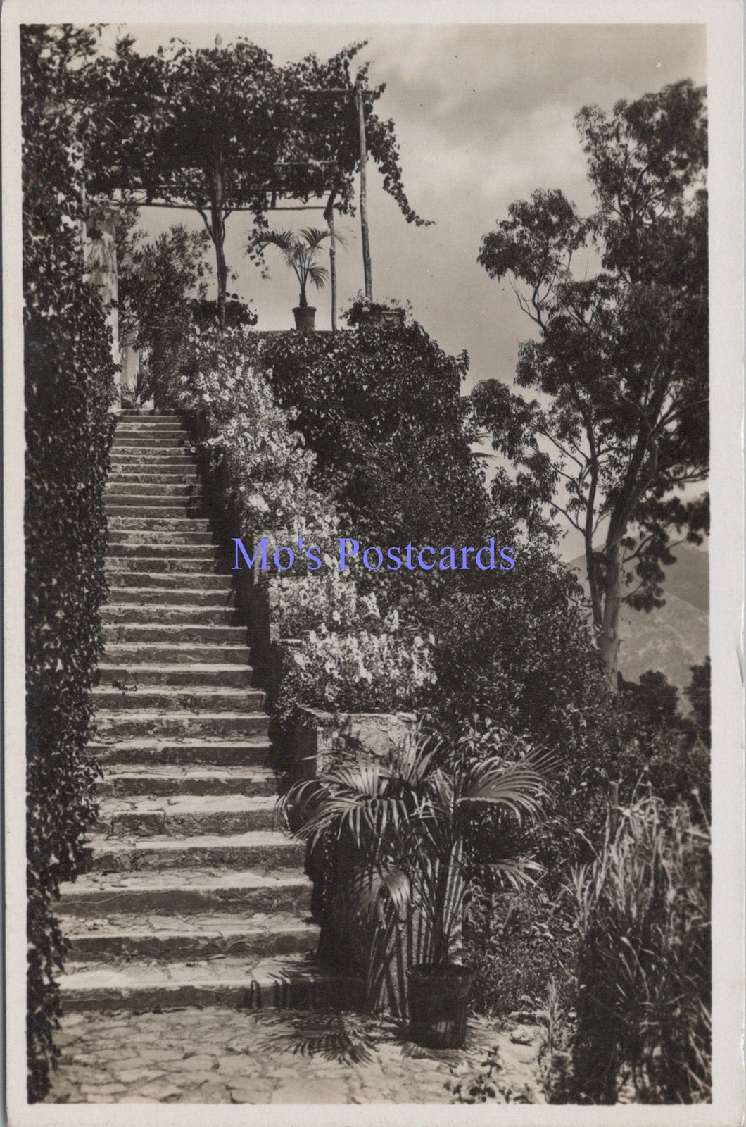 Italy Postcard - Ravello, Giardino Rufolo, Una Scalinata  DZ68