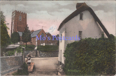 Devon Postcard - Woodbury Village   DZ89