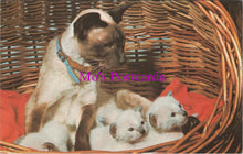 Load image into Gallery viewer, Animals Postcard - Cat and Kittens in a Basket SW15137
