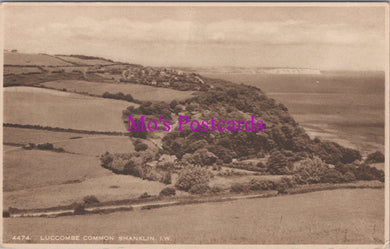 Isle of Wight Postcard - Luccombe Common, Shanklin  SW15187