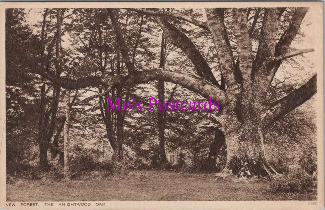 Hampshire Postcard - New Forest, The Knightwood Oak SW15193