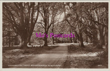 Load image into Gallery viewer, Hampshire Postcard - New Forest, Ornamental Drive, Brinkenwood  SW15194
