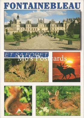 France Postcard - Fontainebleau, Seine-Et-Marne  SW16768