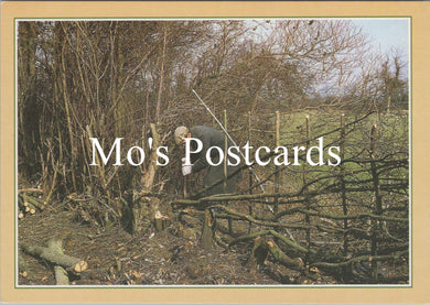 Occupations Postcard - Traditional Crafts, Hedge Laying SW16824