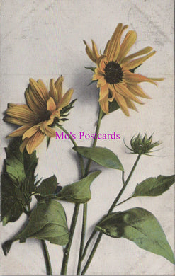 Nature Postcard - Yellow Flowers   SW15798