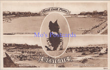 Load image into Gallery viewer, Kent Postcard - Good Luck From Westgate. Black Cat   DC1930
