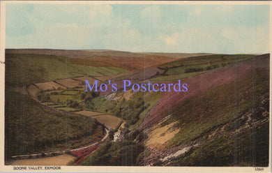 Devon Postcard - Doone Valley, Exmoor    DC1960