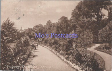 Cornwall Postcard - Newquay, Trenance Gardens   DC1871