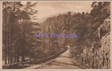 Wales Postcard - In Aberglaslyn Pass  DC1835