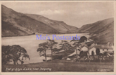 Wales Postcard - Tal-y-Llyn Lake, Near Dolgelley   DC1852