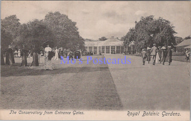 London Postcard - Kew, Royal Botanic Gardens SW14352