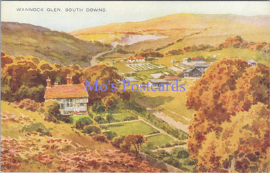 Sussex Postcard - Wannock Glen, South Downs   DC2190