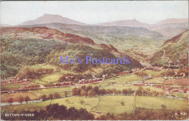 Wales Postcard - Bettws-Y-Coed Village  DC2195