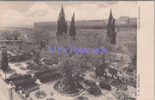 Load image into Gallery viewer, Israel Postcard - Jerusalem, Flortus Gethsemani  DC2205
