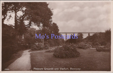 Cornwall Postcard - Newquay Pleasure Grounds and Viaduct  DC2212