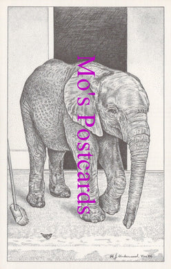 Animals Postcard - Baby Elephant. Artist H.J.Underwood   DZ35