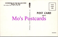 Load image into Gallery viewer, America Postcard - Goosenecks of The San Juan River, Mexican Hat, Utah  DZ48
