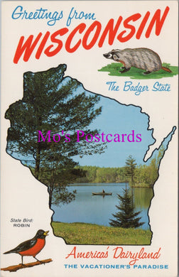 America Postcard - Greetings From Wisconsin. The Badger State  DZ50